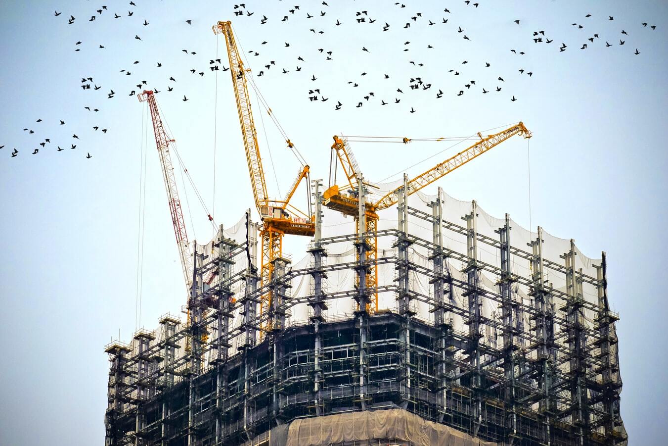 Cranes and a building under construction
