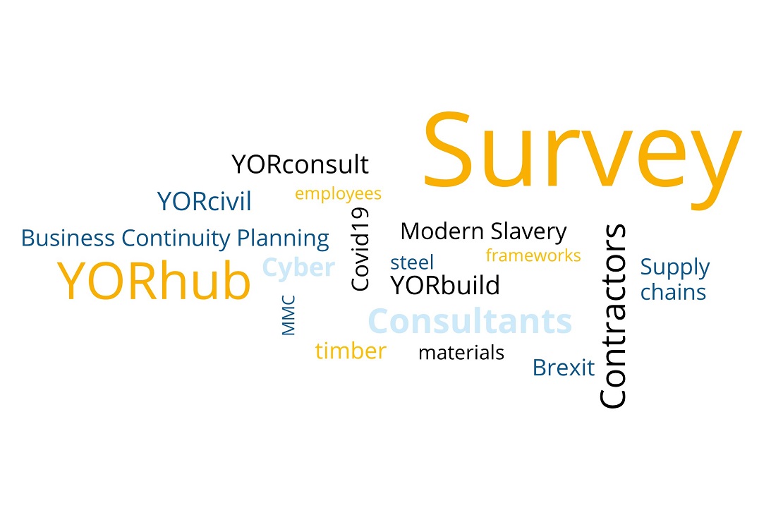 Survey wordcloud