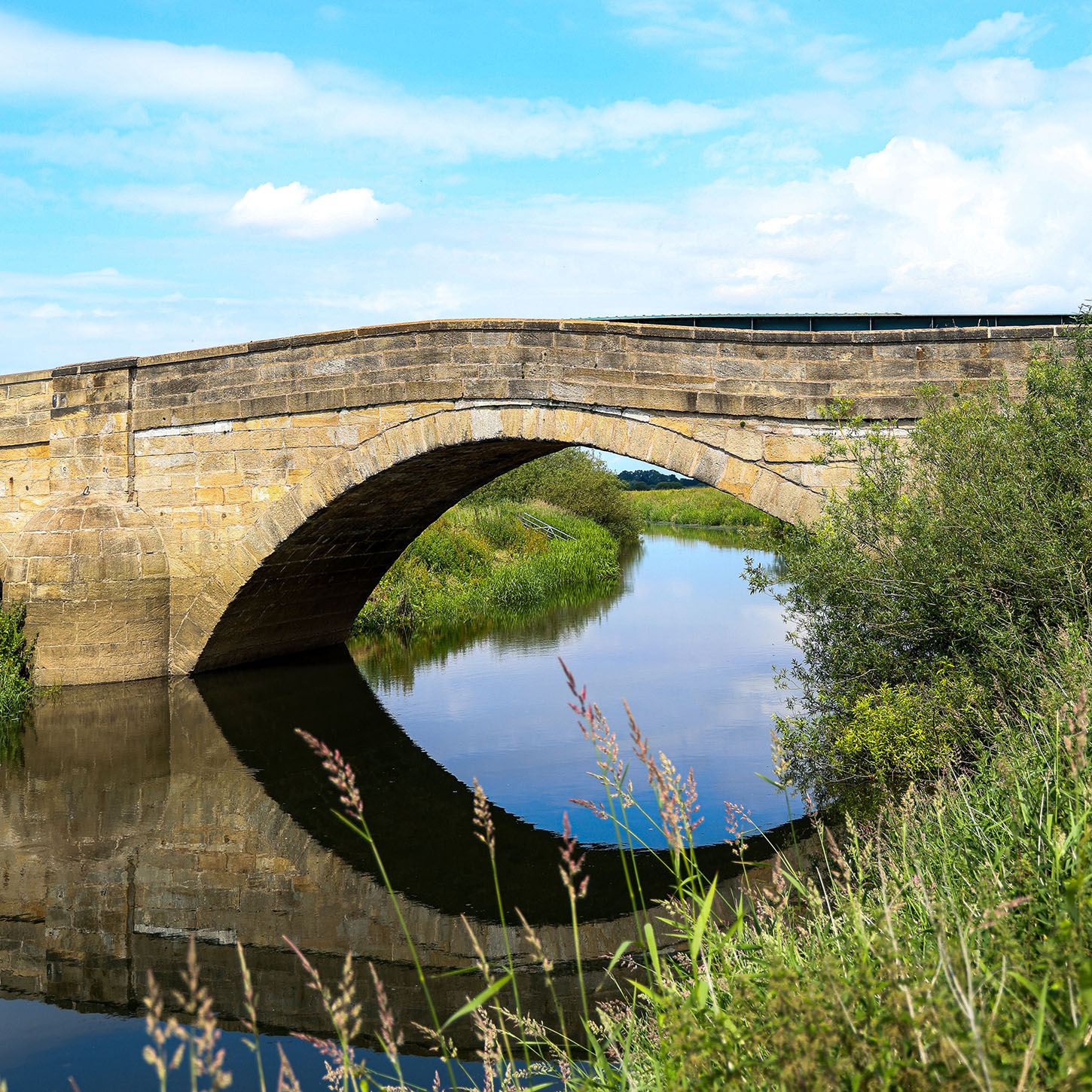 Bubwith bridge portrait