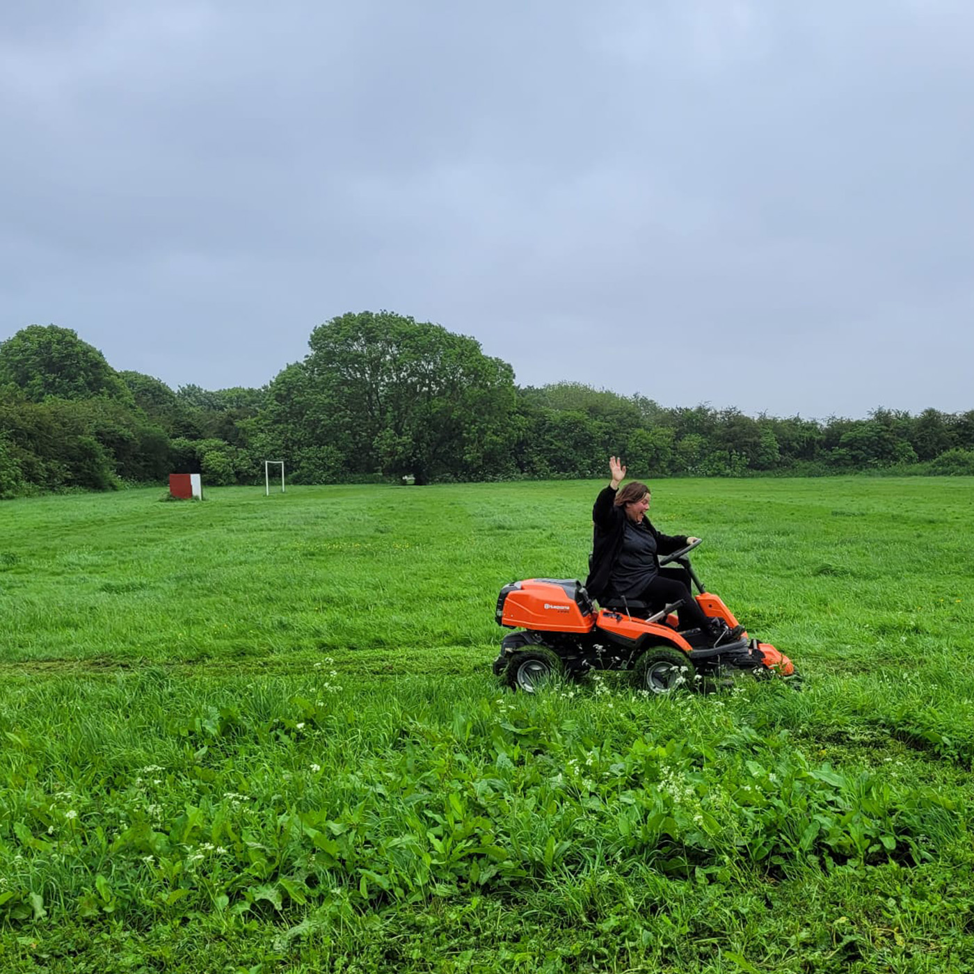 Rubens voice mower