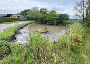 Small Pond in Bentley Village