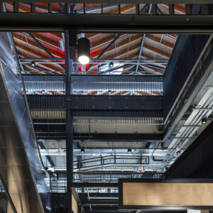 Darley Street Market LED lights