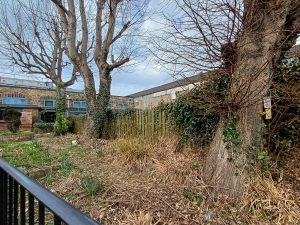 Chesterfield college overgrown area