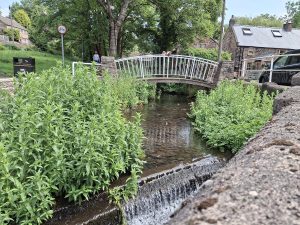 Whiston brook in normal conditions