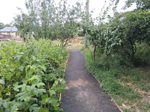 Mowbray Academy outdoor wellbeing space