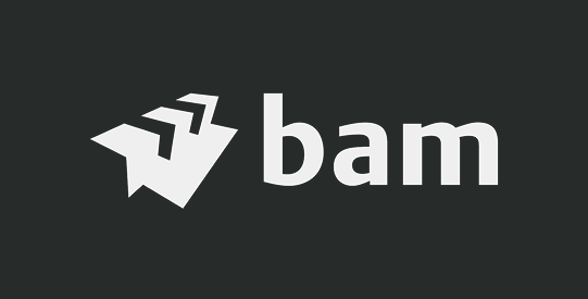 BAM Construction Limited