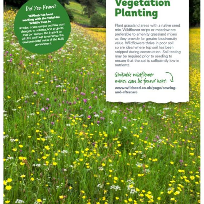 YWT Vegetation planting YWT