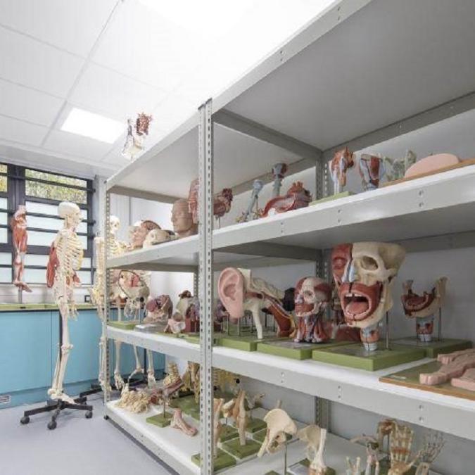 Hull York Medical School