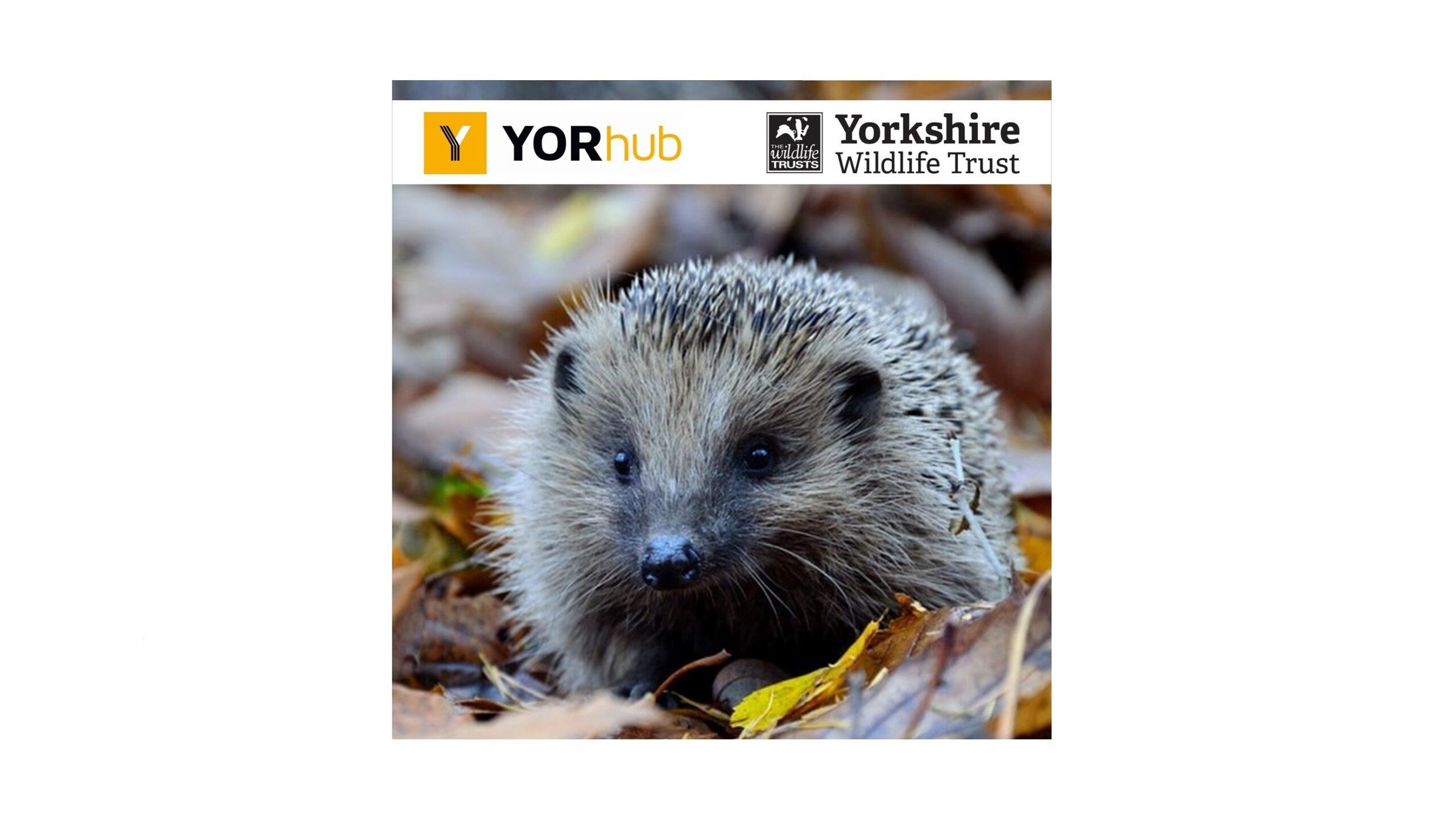Wildlife guidelines developed