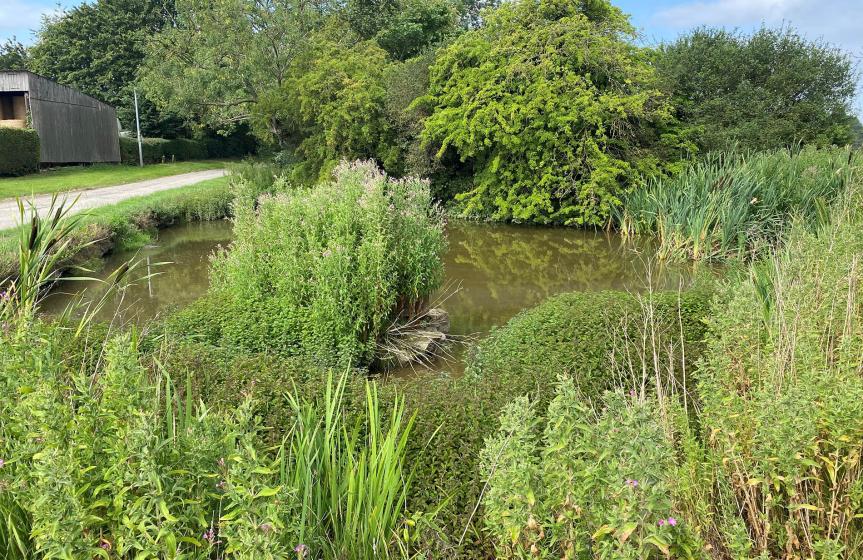 Small Pond in Bentley Village