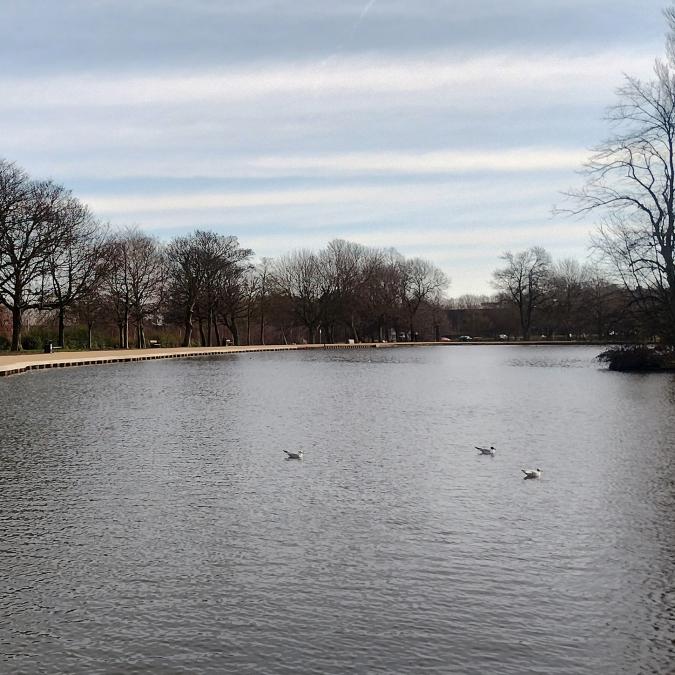 Pontefract Park Reservoir view